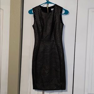 Black and gold Calvin Klein dress